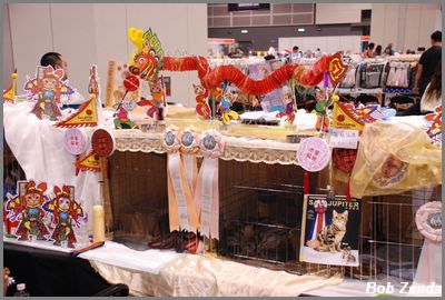 Decorated Cage